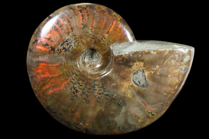 Iridescent Red Flash Ammonite - Madagascar #81378